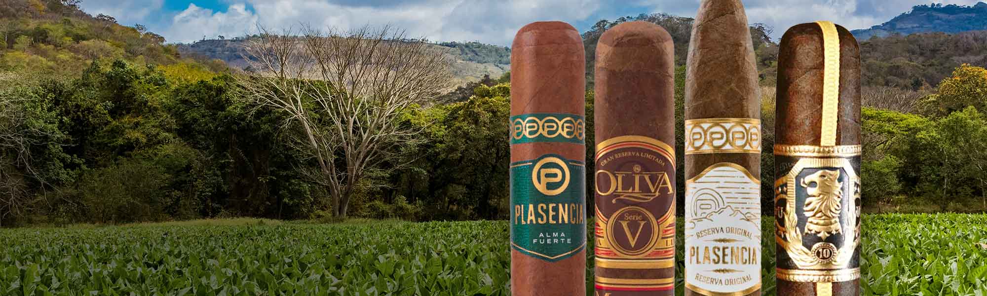 Über Zigarren aus Nicaragua